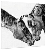 "Kindred Colts" Frameless Free Floating Tempered Glass Panel Graphic Wall Art