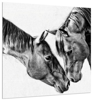 "Kindred Colts" Frameless Free Floating Tempered Glass Panel Graphic Wall Art