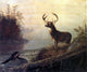 Arthur Fitzwilliam Tait A Surprise, 20"x25" Wall Decal