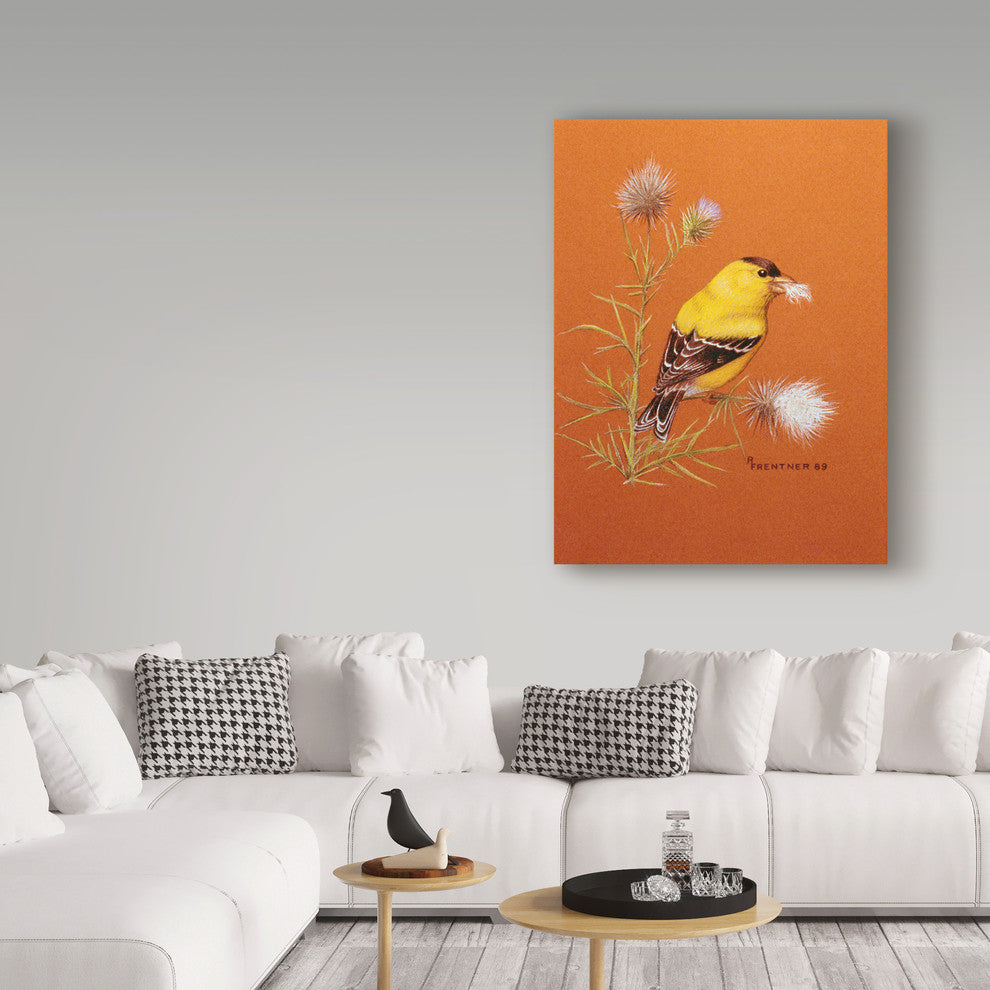 Rusty Frentner 'Bird Red Background' Canvas Art, 24"x18"