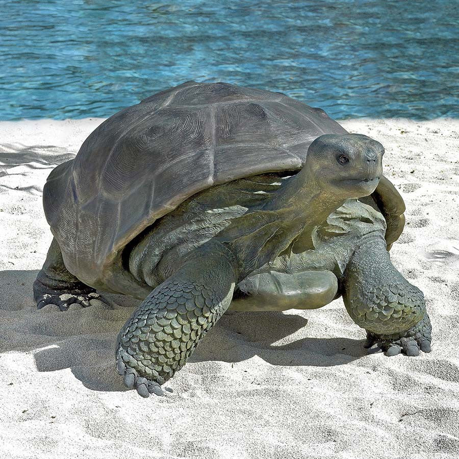 Grand Scale Galapagos Tortoise Statue