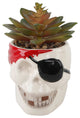 Faux Succulent, Ceramic Pirate, E Pack