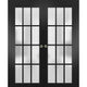 Sliding Interior Double Pocket Doors Frosted Glass |Felicia 3312 Black 84x80