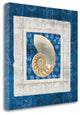 "Sea Shell II On Blue" By Belinda Aldrich, Giclee Print on Gallery Wrap Canvas