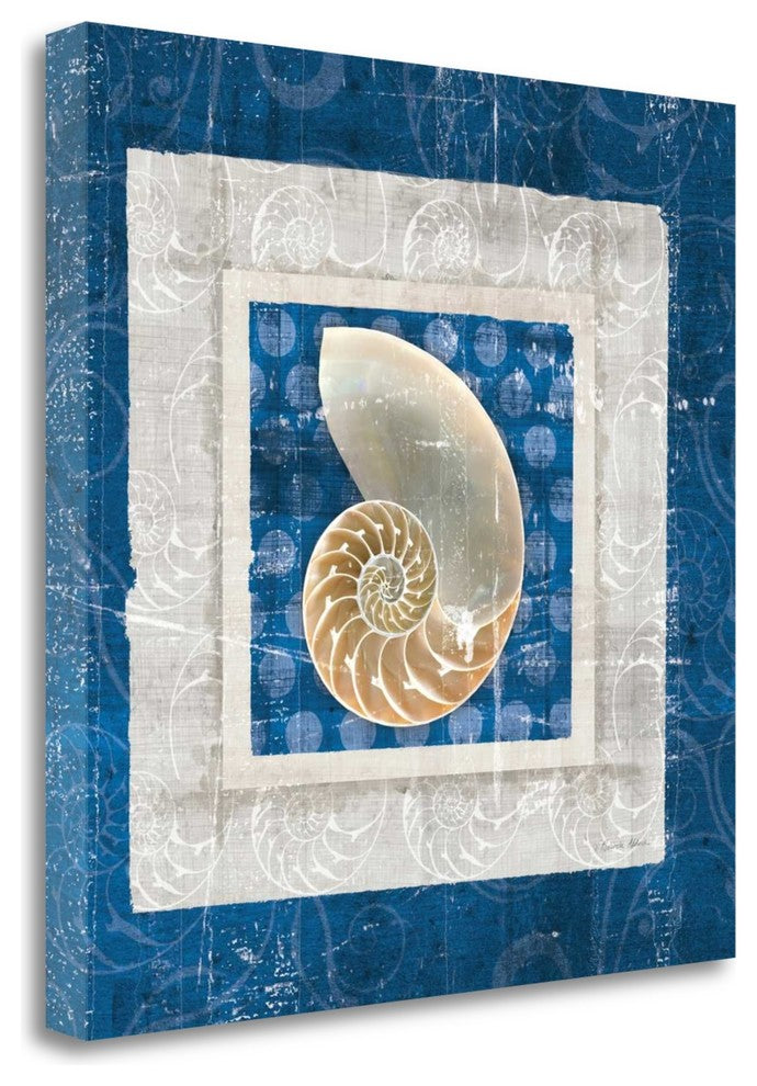 "Sea Shell II On Blue" By Belinda Aldrich, Giclee Print on Gallery Wrap Canvas