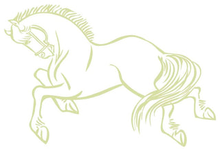 Horse Wall Decal, 16" H x 24" W, Grass