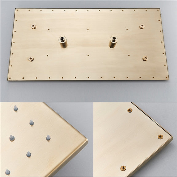Fontana 20x40" Ceiling Mount Rain Shower Head, Brushed Gold