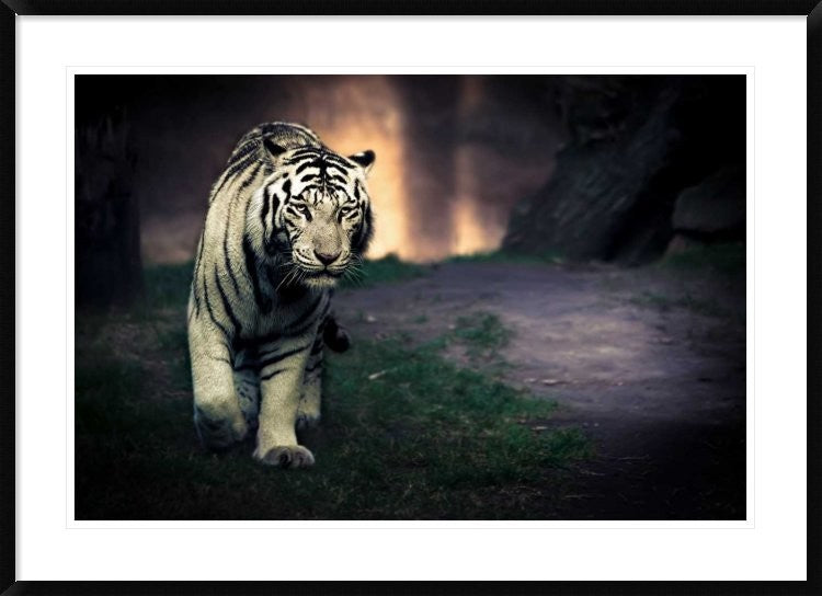 "White Walker" Framed Digital Print by Jesus Gonzalez, 44x32"