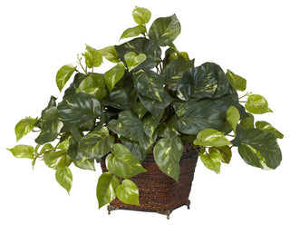 Full product shot on a solid white background showing the pothos plant with planter; front-facing view; no text or diagrams.