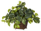 Pothos With Coiled Rope Planter Silk Plant