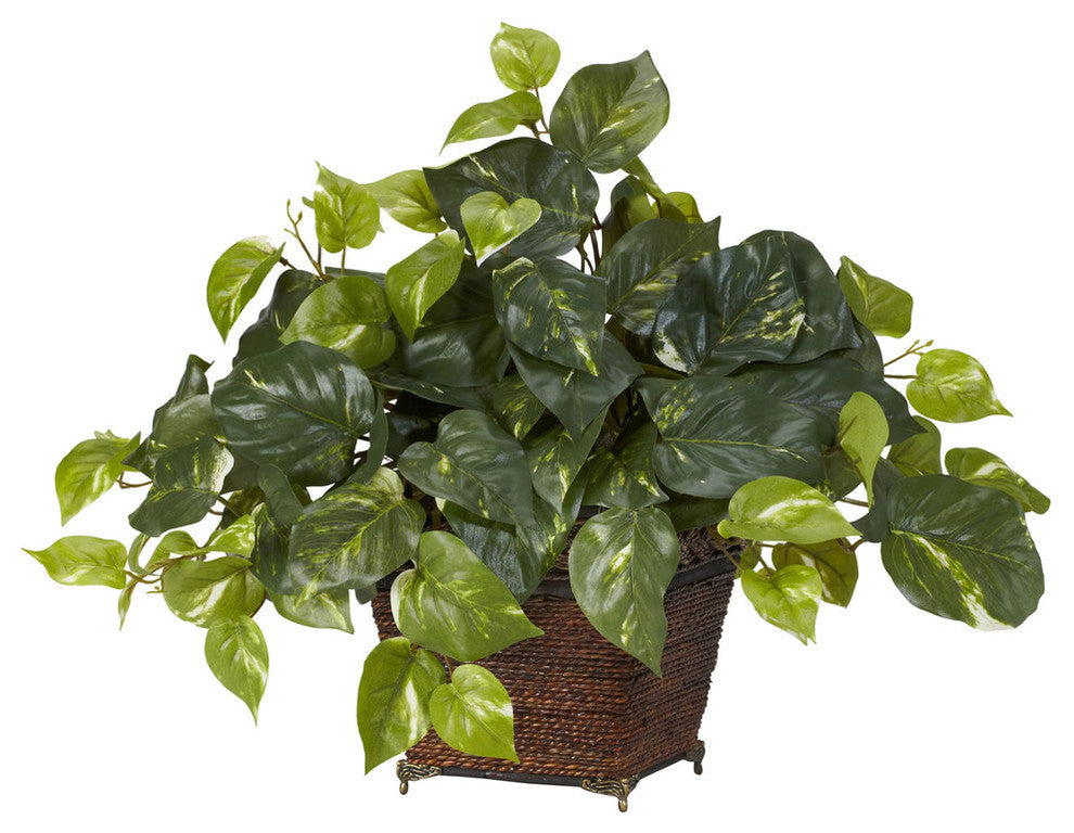 Full product shot on a solid white background showing the pothos plant with planter; front-facing view; no text or diagrams.