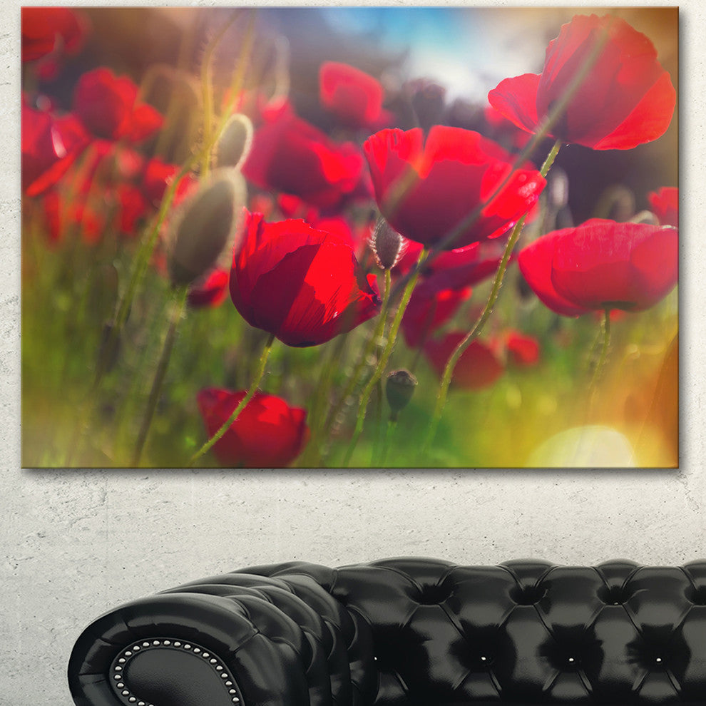 Thick Red Poppy Flowers, Floral Canvas Art Print, 40"x30"