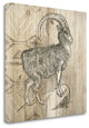 "Natural History Lodge VII" By Wild Apple Portfolio, Gallery Wrap Canvas
