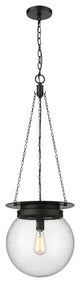 Z-LITE 1-Light Pendant, Matte black