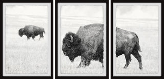 Keep Moving Triptych, Set of 3, 30x45 Panels