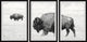Keep Moving Triptych, Set of 3, 30x45 Panels
