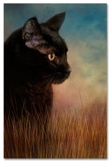 Jai Johnson 'If Only' Canvas Art, 47 x 30