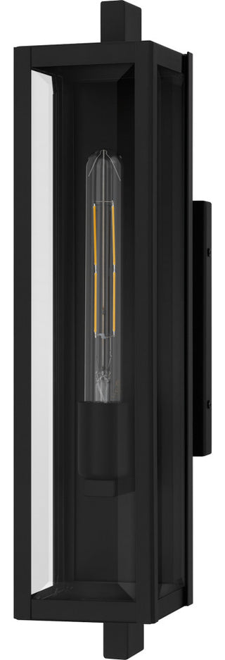 Quoizel DLE8405 Dale 20" Tall Outdoor Wall Sconce - Matte Black