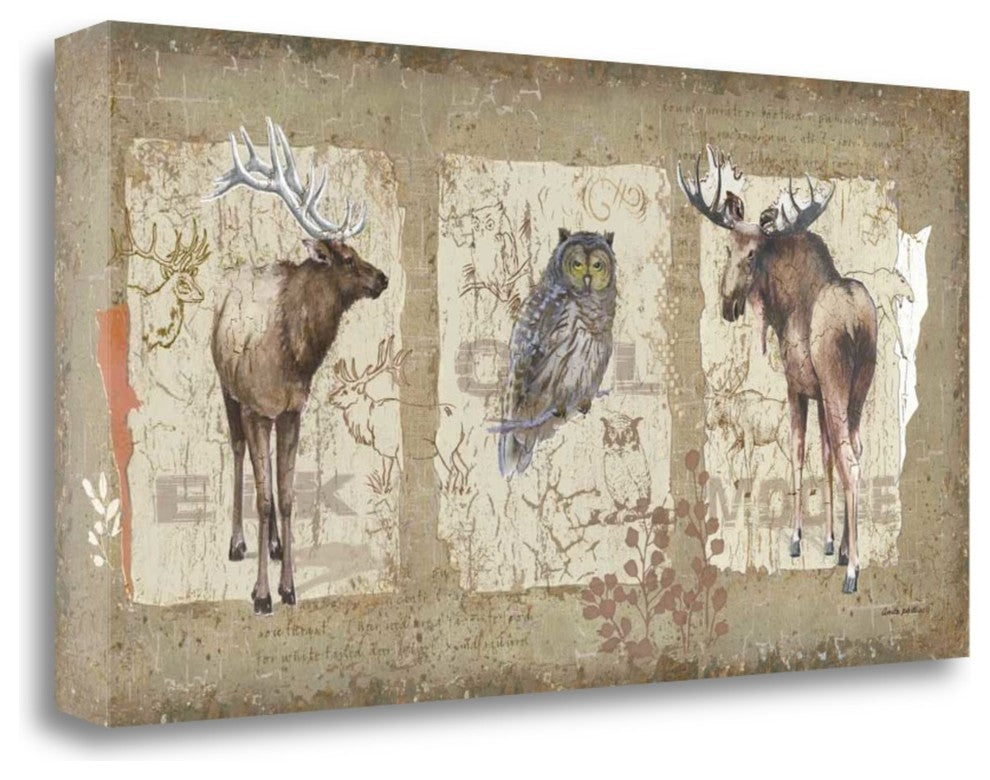"Woodlands II" By Anita Phillips, Giclee Print on Gallery Wrap Canvas