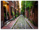 Acorn Street Massachusetts, Landscape Triptych Canvas Art Print, 36x28, 3 Panels