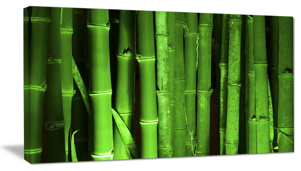 Green Bamboo Forest, Floral Canvas Art Print, 40x20