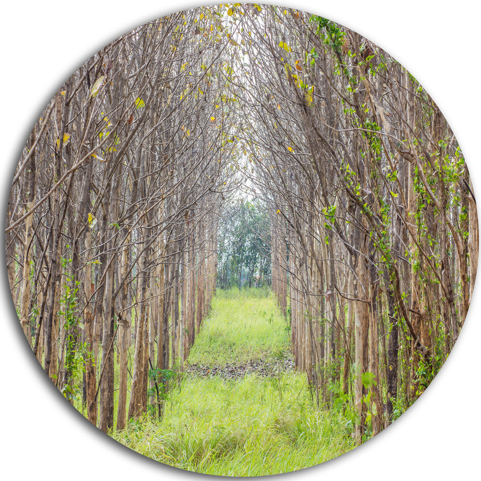 Pathway Through Fall Green Trees, Landscape Disc Metal Wall Art, 11"