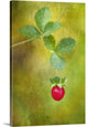 "Autumn Gourmandise" Wrapped Canvas Art Print, 32"x48"x1.5"