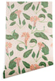 Deny Designs Holli Zollinger Desert Moonflower Wallpaper, Pink, 2'x10'
