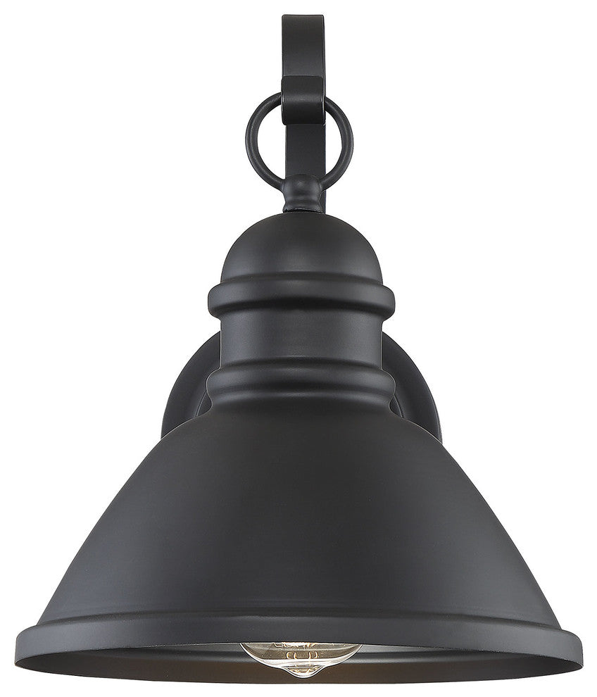 1-Light Exterior Wall Sconce, Black