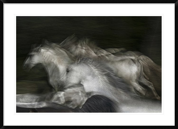 "Into The Dark" Framed Digital Print by Milan Malovrh, 44x32"