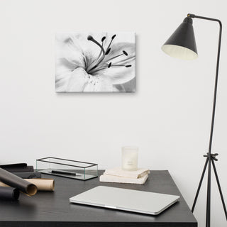 Grey Floral Canvas: High-key Lily Floral Nature Photo Wall Art Print, 12" X 16"