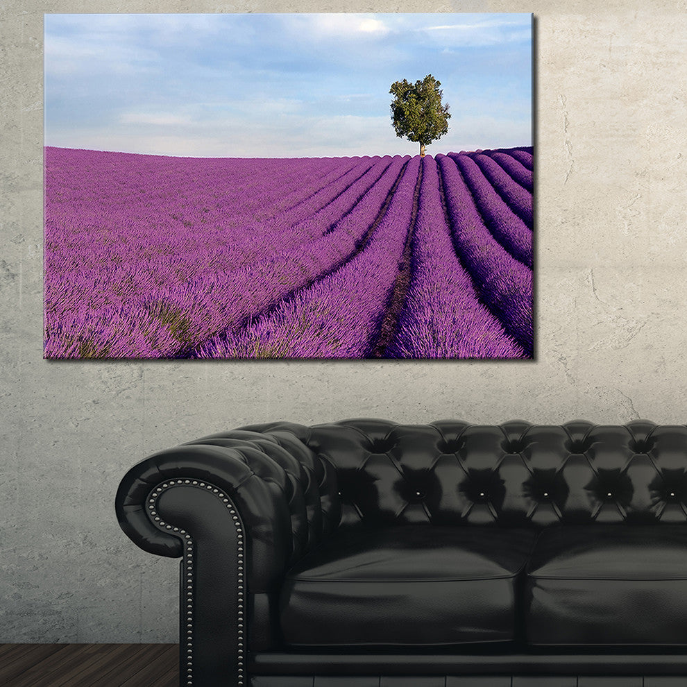"Lavender Field With Solitary Tree" Landscape Canvas Photo Print, 32"x16"