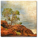 ''Guide My Feet'' Canvas Art by Philippe Sainte-Laudy