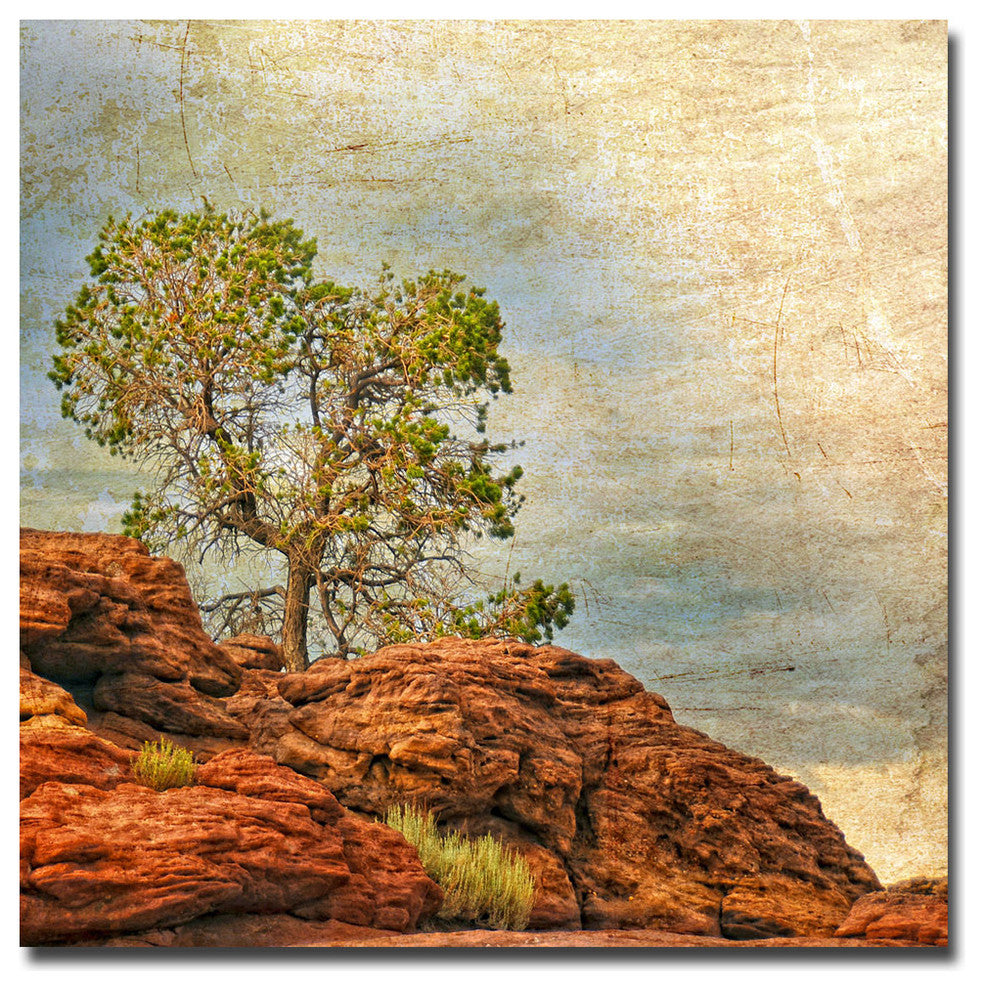 ''Guide My Feet'' Canvas Art by Philippe Sainte-Laudy