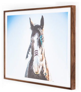 War Horse