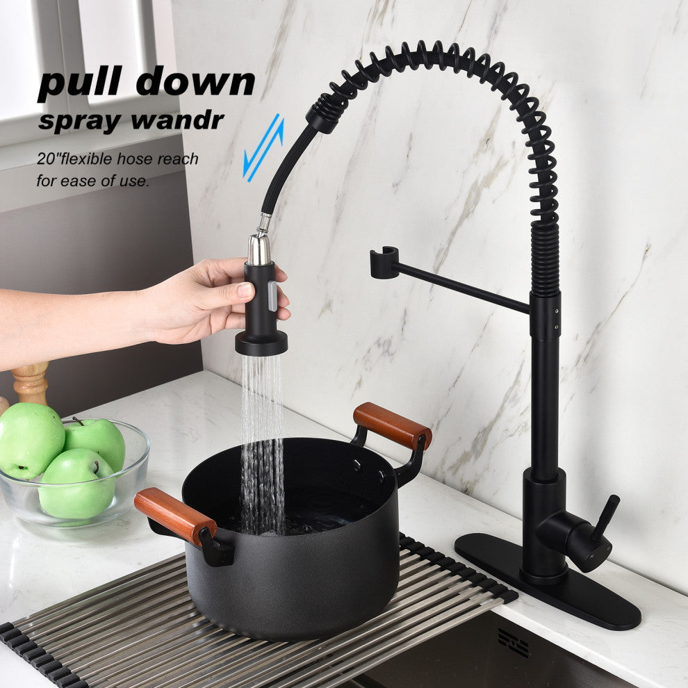 Wellfor Single Handle Kitchen Sink Faucet With Pull Down Sprayer
