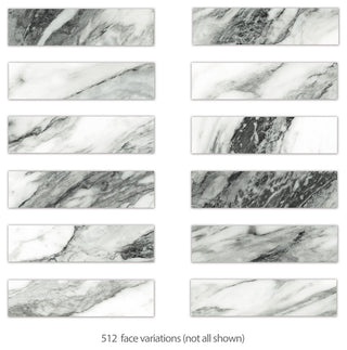 Touche Zebre Porcelain Floor/Wall Tile