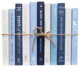 Decorative Books - Blue Oasis Books - Books By The Foot