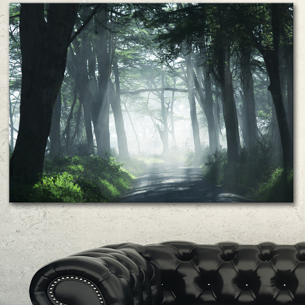 Dense Rain Forest At Sunrise, Extra Large Landscape Canvas Art, 40"x30"