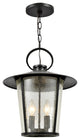 Crystorama AND-9204-SD-MK, 4-Light Outdoor Chandelier, Matte Black