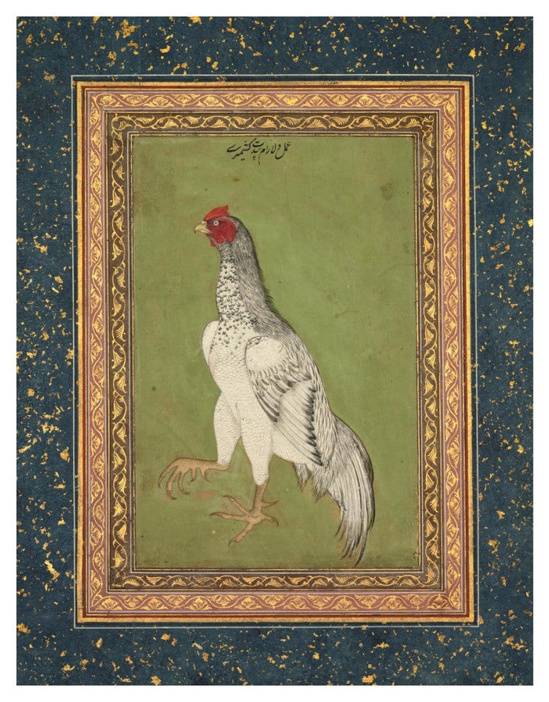 "Fighting Cock, c.1620" Paper Art, 19"x24"