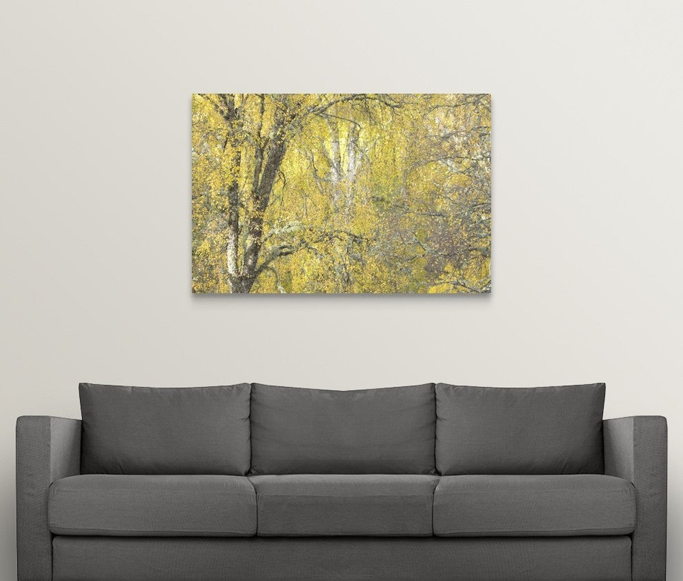 "Golden Dreams" Wrapped Canvas Art Print, 48"x32"x1.5"