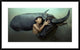 "Peaceful" Framed Digital Print by Fahmi Bhs, 38x23"