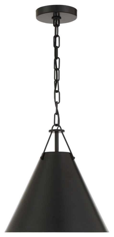 Xavier 1 Light Pendant