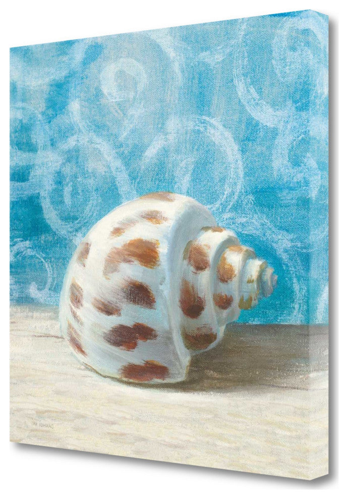 25" Mod Blue Scroll Coastal Conch 2 Giclee Wrap Canvas Wall Art