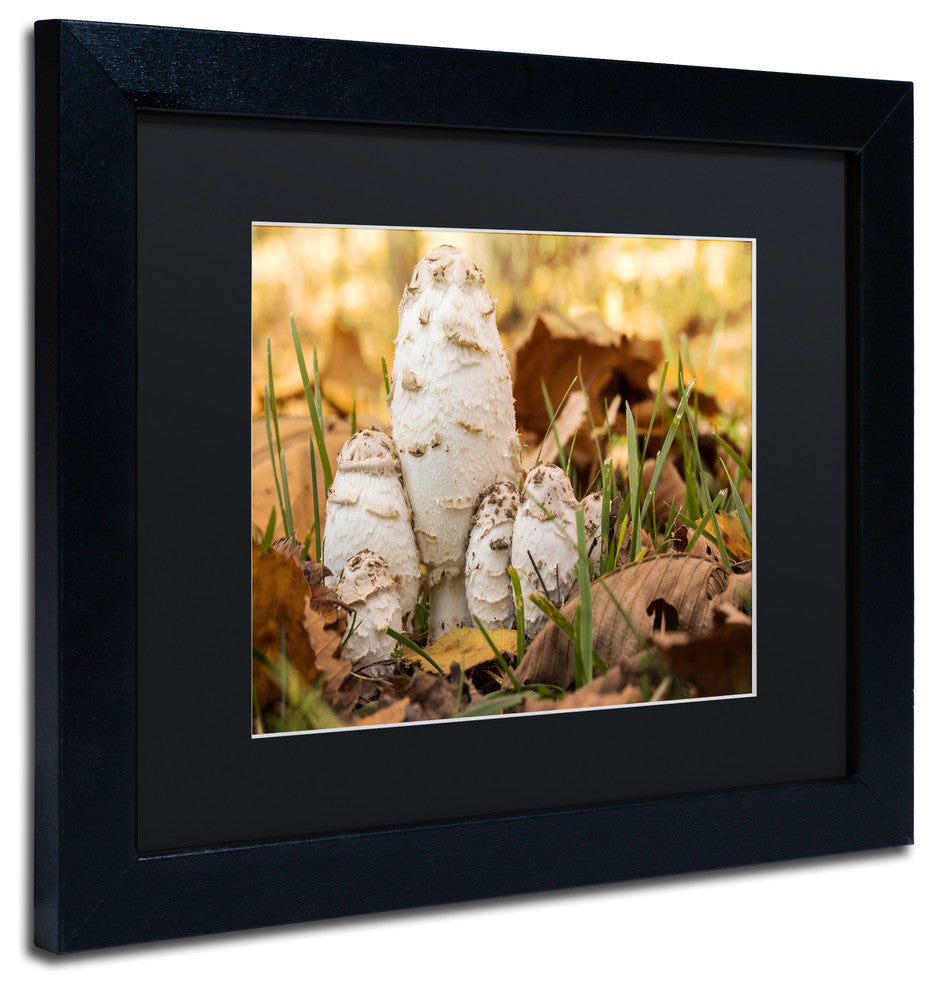 Jason Shaffer 'Autumn Mushrooms', Black Frame, Black Mat, 14x11