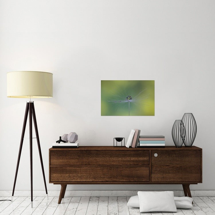 "Magic Bunch" Stretched Canvas Giclee by Bertrand Kulik, 30"x20"