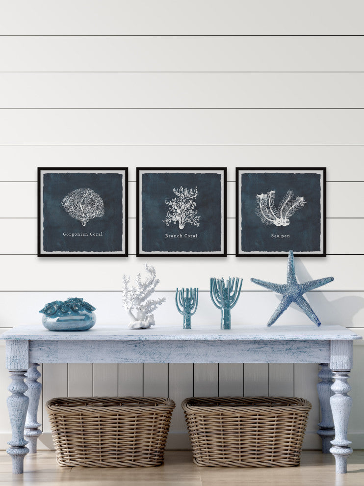 Gorgonian Coral Triptych, 3-Piece Set, 24x24 Panels