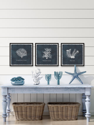 Gorgonian Coral Triptych, 3-Piece Set, 24x24 Panels