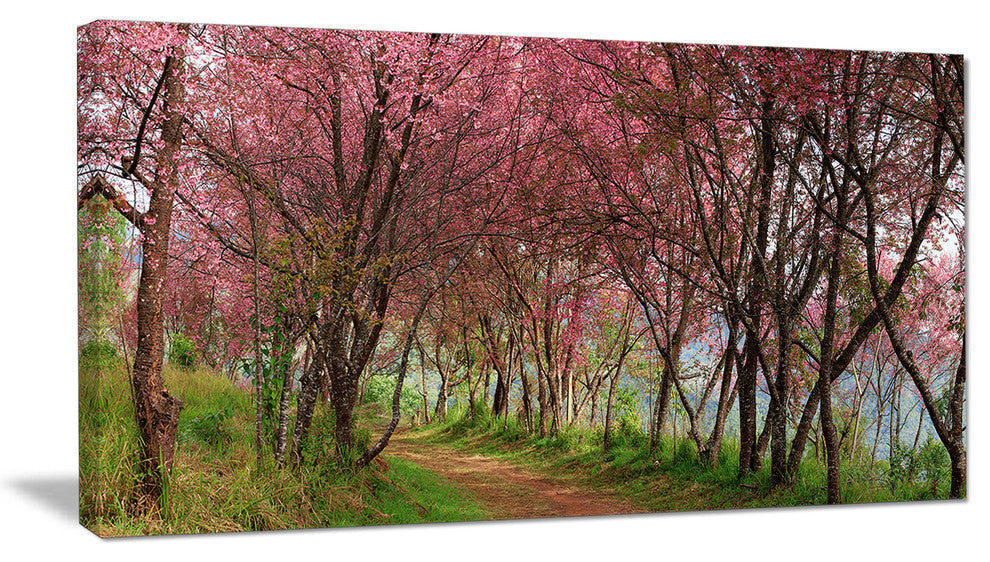 "Sakura Pink Flowers in Thailand" Landscape Art Print Canvas, 40"x20"